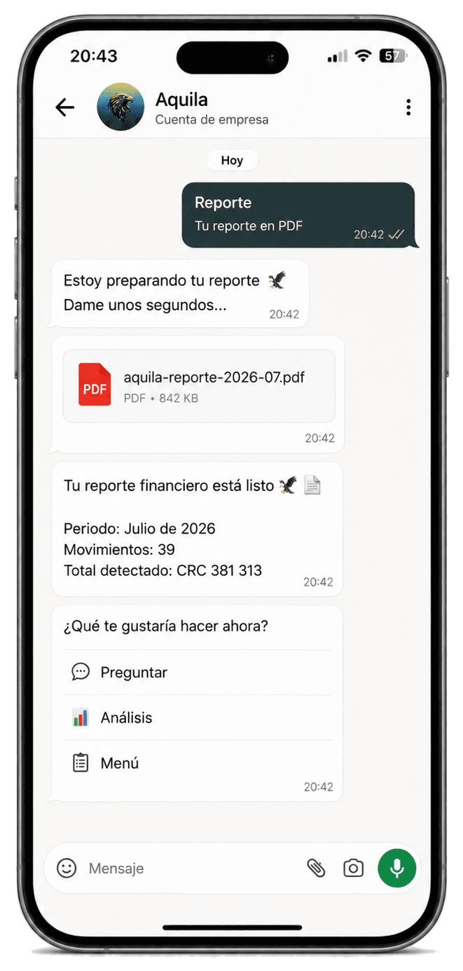 Aquila entrega un reporte financiero en PDF dentro de WhatsApp
